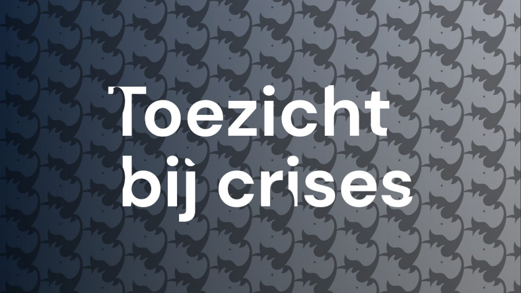 Calamiteitengids Toezicht bij crises